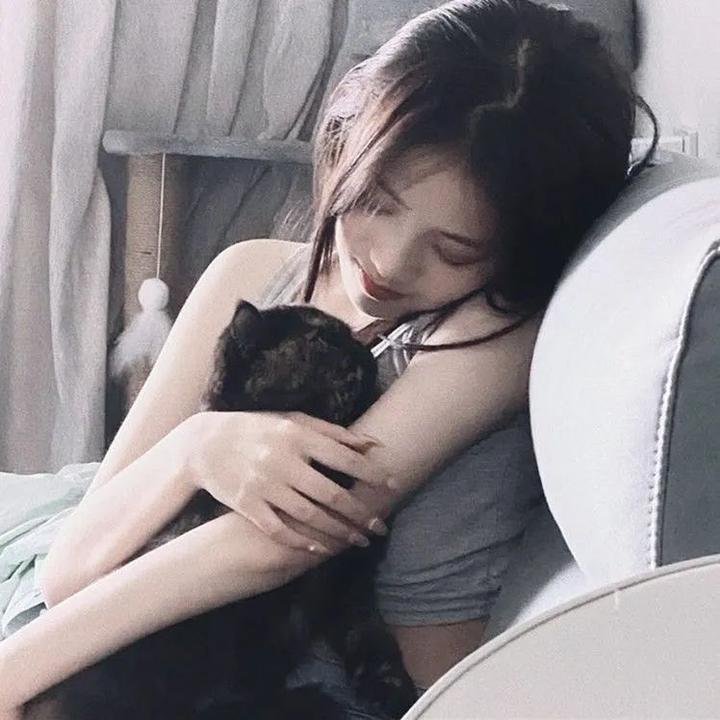 猛龙征东